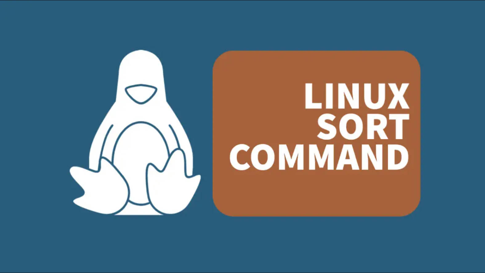 image from Linux的排序命令sort